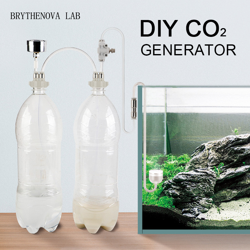 Planted Aquarium Moss - CO2 발생기 수족관 수초 어항 CO2