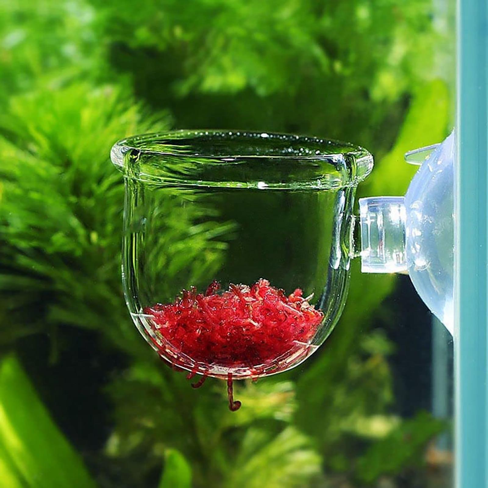 Aquarium Plant Seeds - 수족관 식물 냄비 유리 실린더 컵