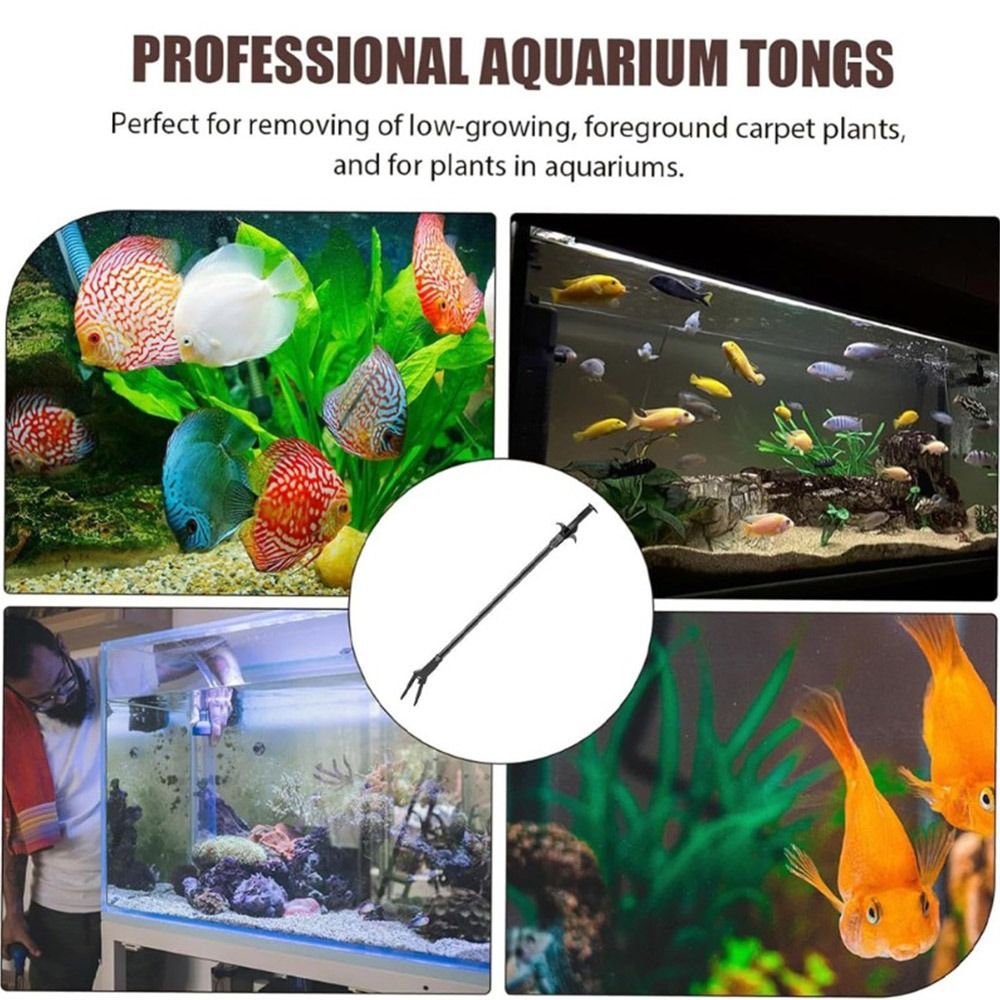 Non Planted Aquarium Fish - 1개 50cm 수족관 플라스틱 집게 검정