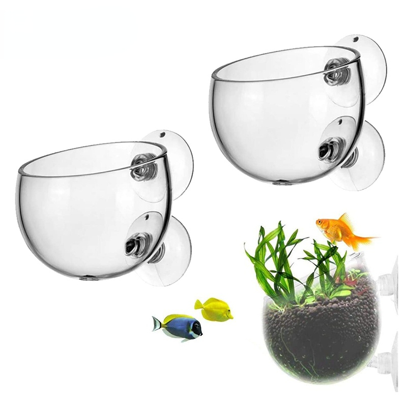 Aquarium Plant Seeds - 신형 수족관 식물 화분 유리 실린더