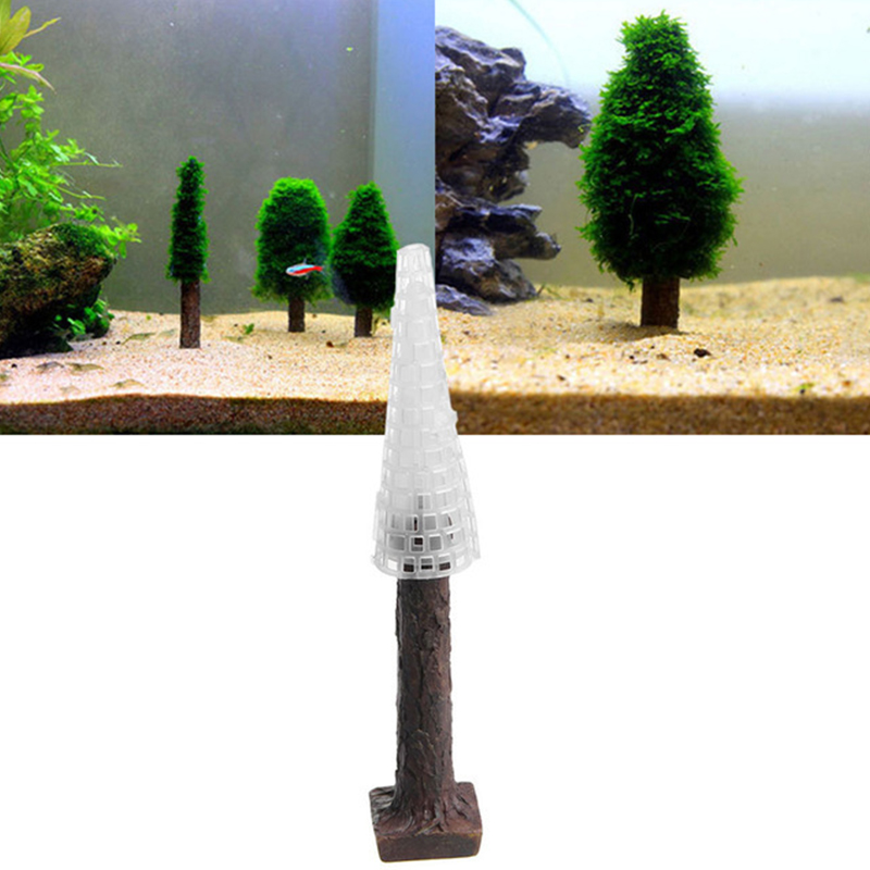 Planted Aquarium Moss - 수족관 탱크 조경 장식, 수족관 조경