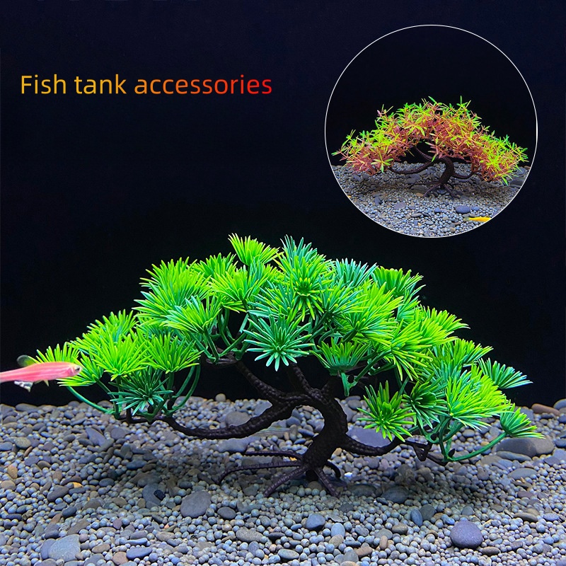 Aquarium Plant Seeds - 수족관 분재나무, 식물, 어항장식, 인공식물, 꽃장식,