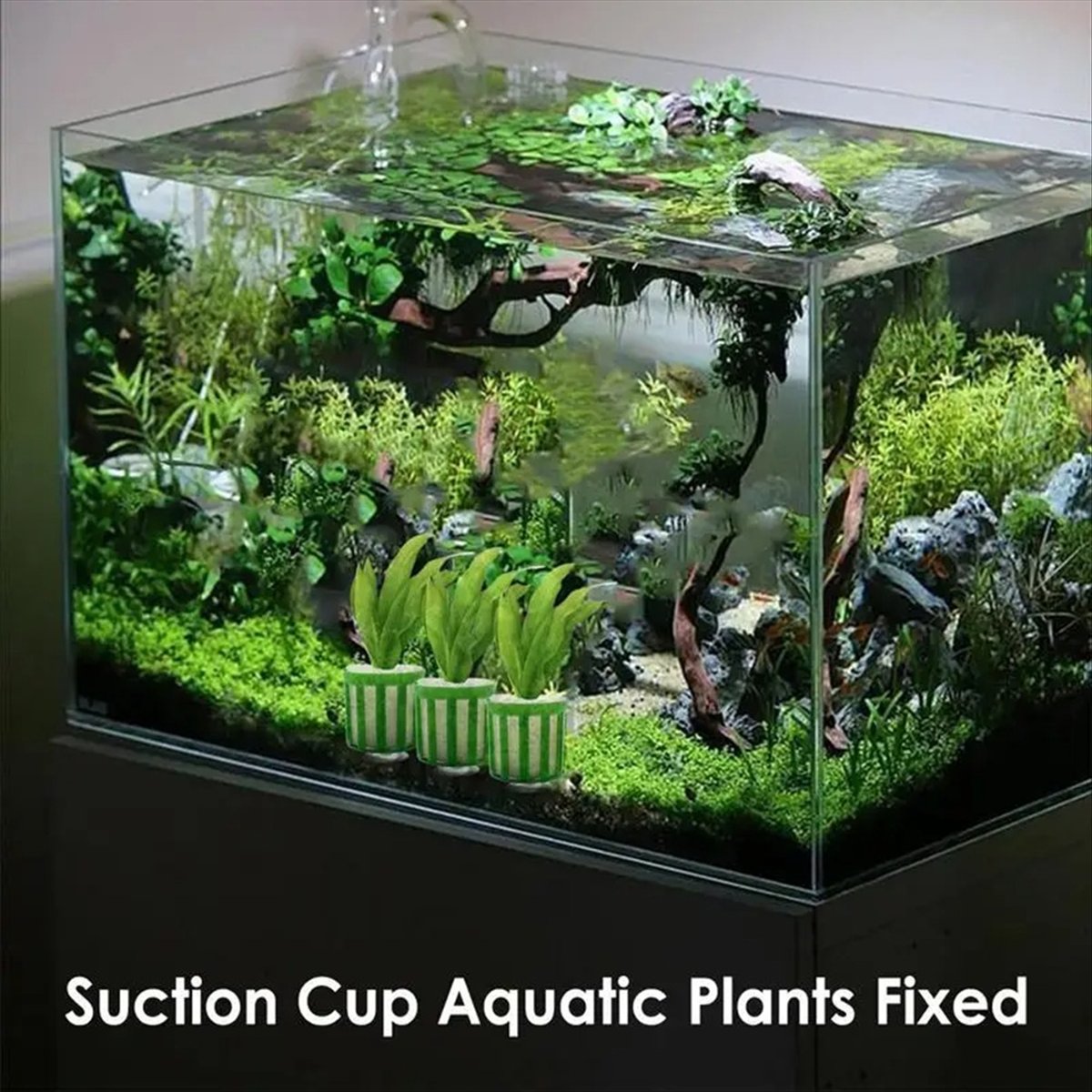 Planted Aquarium Tool Kit - ABNQ 수생 식물 고정 홀더 10pcs