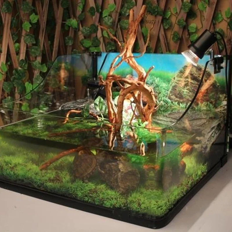 Planted Aquarium Making - 천연 나무 줄기 유목 수족관 물고기