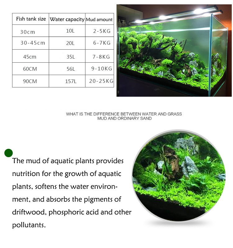 수족관 물 진흙 식물 씨앗 토양 어항 바닥 모래 영양소 - Aquarium Plant Seeds 리뷰 및 가격