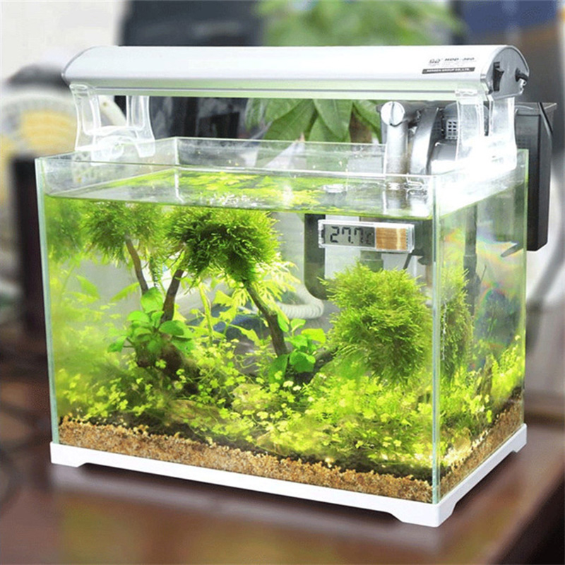 방수 수족관 온도계 3D 디지털 LCD 전자 물고기 탱 - Aquarium Planted Seeds 리뷰 및 가격