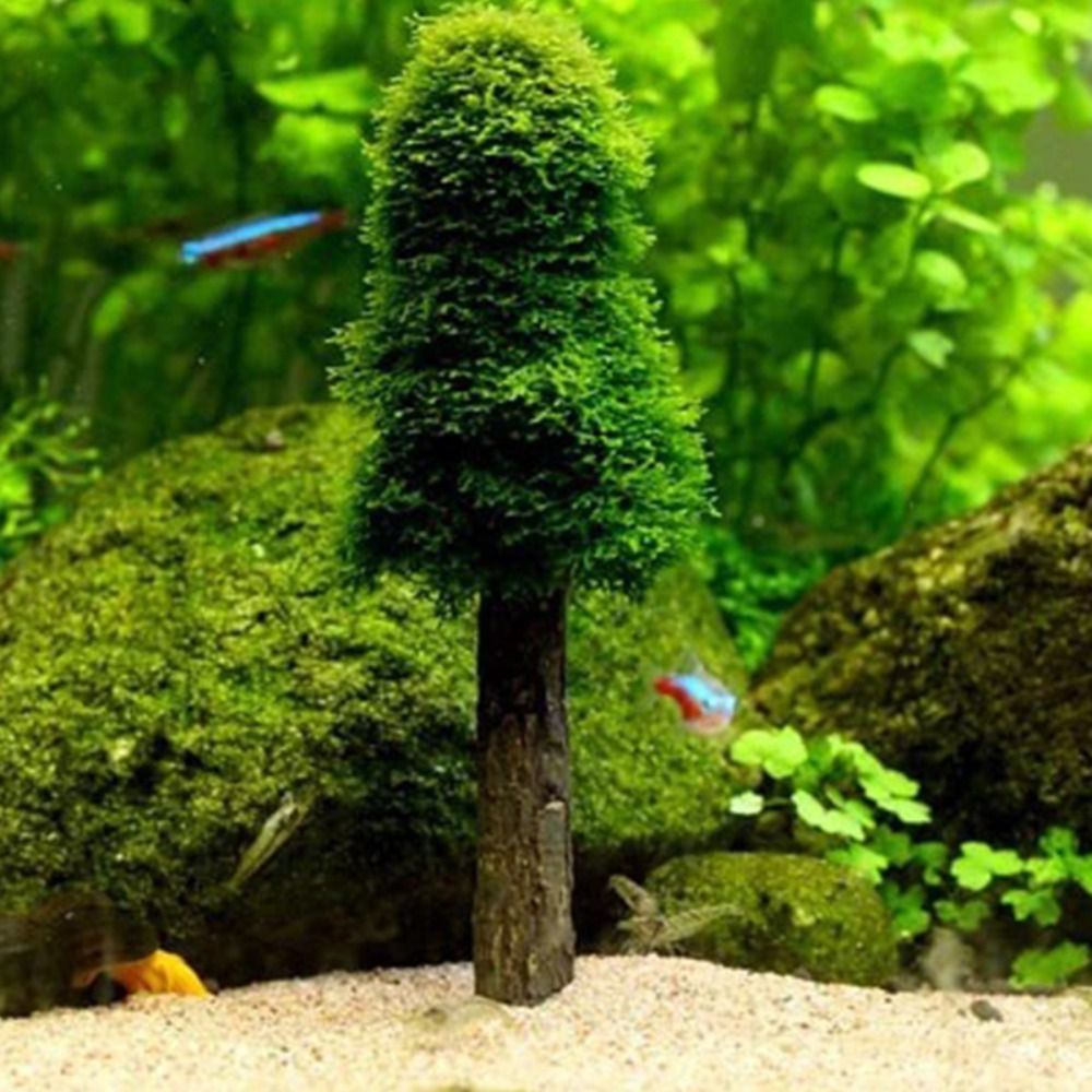 시뮬레이션 크리스마스 트리 수족관 이끼 식물 홀더 미니 - Planted Aquarium Moss 리뷰 및 가격