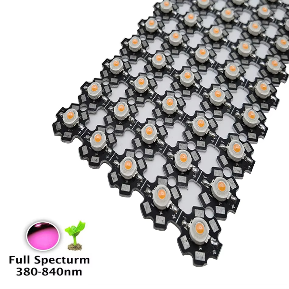 1W 3W 5W LED 램프 비즈 성장 조명 칩 COB - Aquarium Plant Seeds 리뷰 및 가격