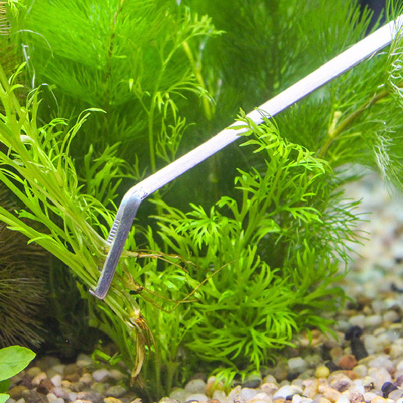 전문 수족관 관리 도구 키트, 어항 청소용 핀셋, 가위 - Planted Aquarium Tool Kit 리뷰 및 가격