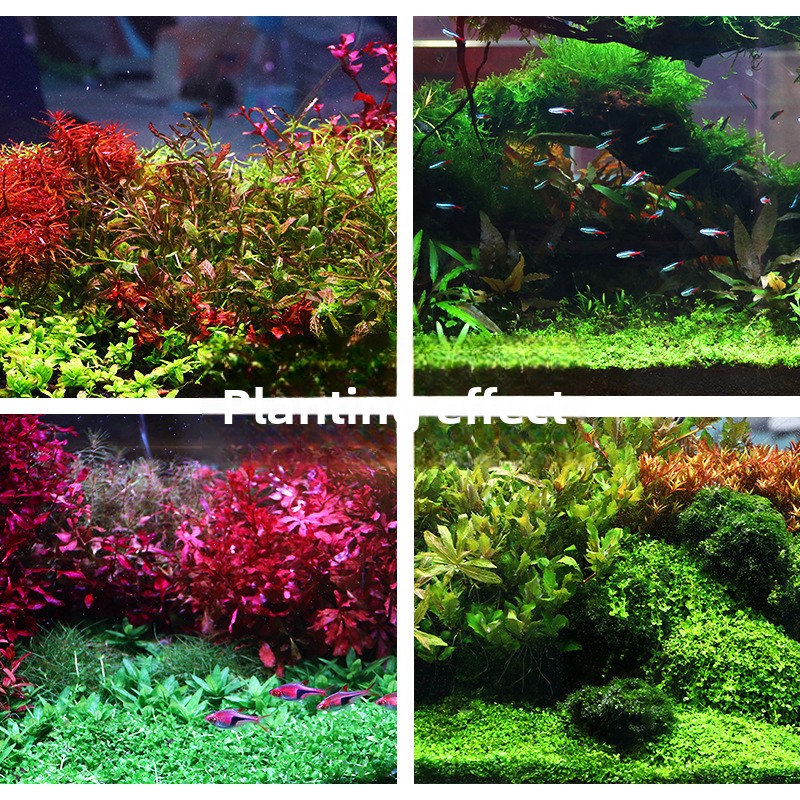 시스엔시아가 수초용 토양-영양소 풍부한 바닥 모래 (대 - Planted Aquarium Fertilizer 리뷰 및 가격
