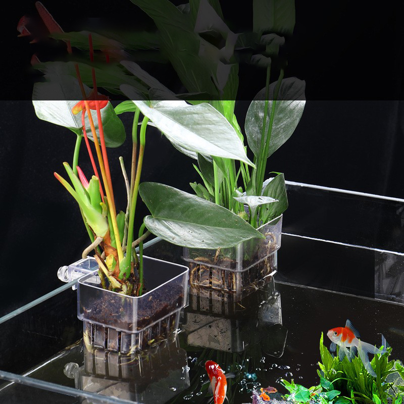 수족관 수경 식물 바구니 하이 퀄리티, ABS 수경 복 - Aquarium Plant Seeds 리뷰 및 가격