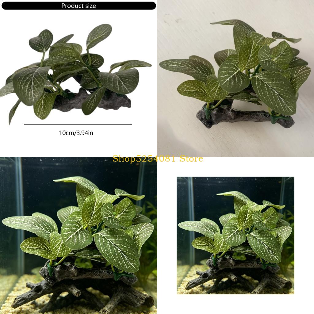식물 인공 수지 유목 지점이 있는 AXYC 수족관 풍경 - Non Planted Aquarium Fish 리뷰 및 가격