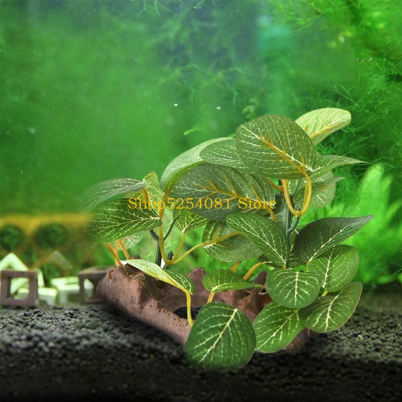 식물 인공 수지 유목 지점이 있는 AXYC 수족관 풍경 - Non Planted Aquarium Fish 리뷰 및 가격