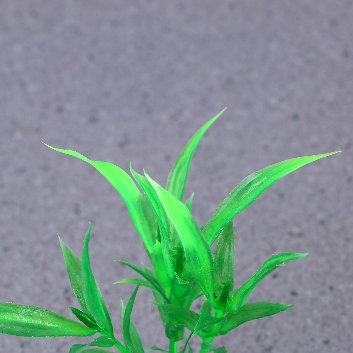 10Pcs 현실적인 수족관 식물 인공 드라케나 산데리아 - Non Planted Aquarium Fish 리뷰 및 가격