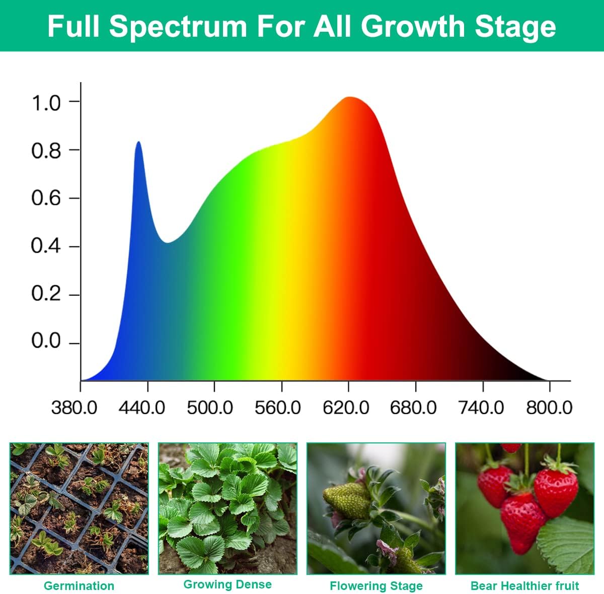 LED 성장 램프 식물 전체 스펙트럼 AC85-265V - Aquarium Plant Seeds 리뷰 및 가격