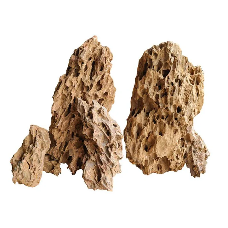 250g 500g 1000g 천연 수족관 장식 돌 Ro - Aquarium Planted Seeds 리뷰 및 가격