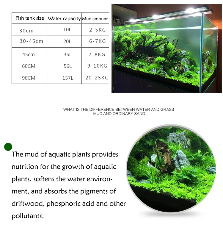 어항 물 잔디 진흙 식물 씨앗, 수족관 토양 바닥 모래 - Aquarium Plant Seeds 리뷰 및 가격