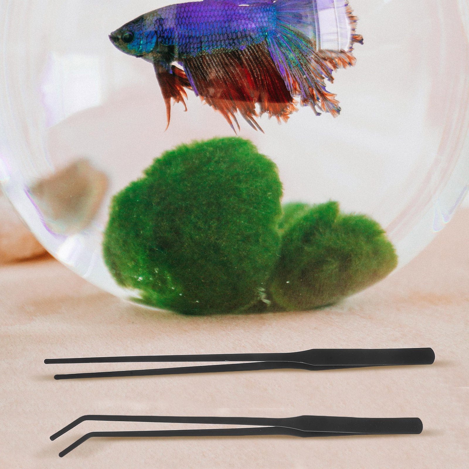 4pcs 수족관 핀셋 스테인레스 스틸 롱 핸들 물고기  - Planted Aquarium Tool Kit 리뷰 및 가격