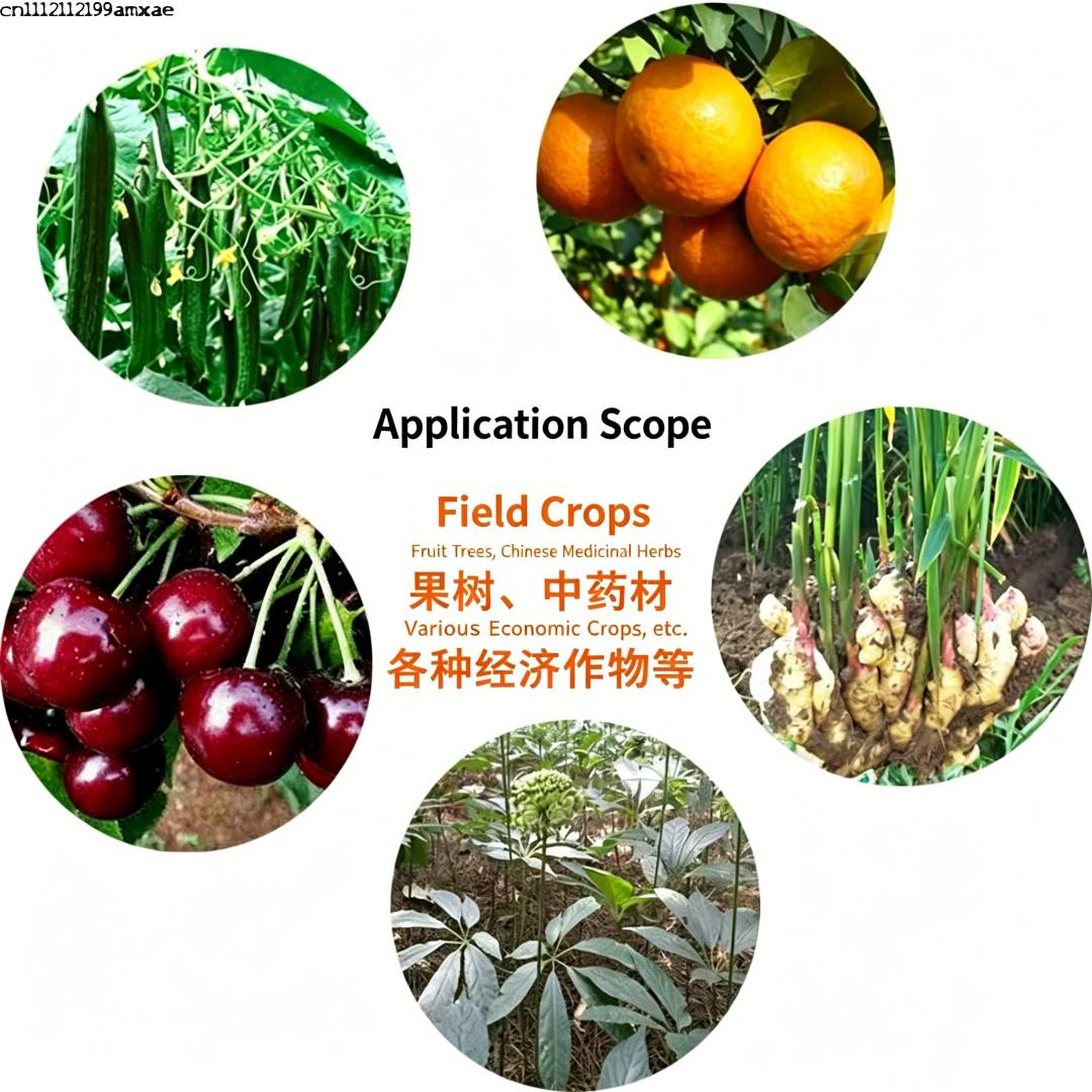 고활성 바실러스 서브틸리스 분말 유기농 프로바이오틱 비 - Planted Aquarium Fertilizer 리뷰 및 가격