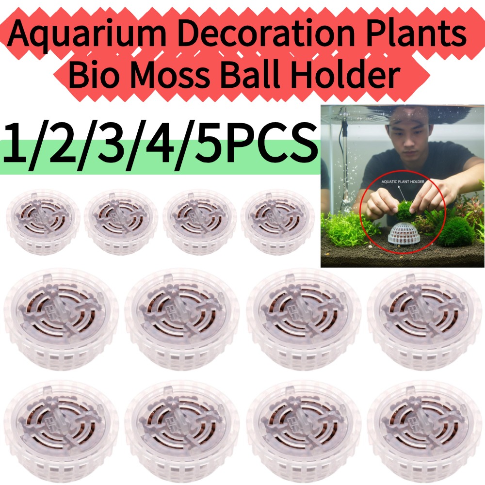 1/2/3/4/5PCS 수족관 장식 식물 바이오 모스  - Planted Aquarium Moss 리뷰 및 가격