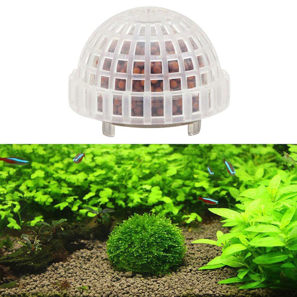 1/2/3/4/5PCS 수족관 장식 식물 바이오 모스  - Planted Aquarium Moss 리뷰 및 가격