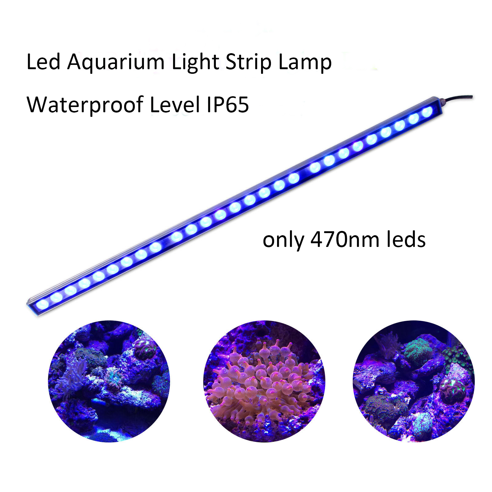 LED 바 라이트, IP65 방수 LED 수족관 라이트 - Aquarium Planted Tank Light 리뷰 및 가격