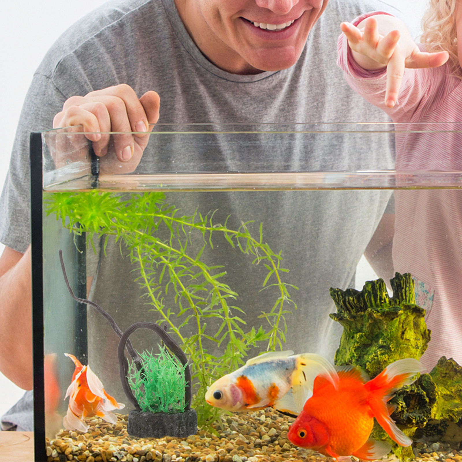 어항 장식용 사실적인 인공 수초 세트 안전하고 무독성의 - Non Planted Aquarium Fish 리뷰 및 가격