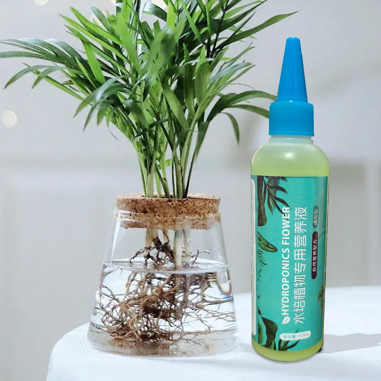 110ml 수경재배 식물 영양액 천천히 풀리는 다목적  - Liquid Fertilizer All In 리뷰 및 가격