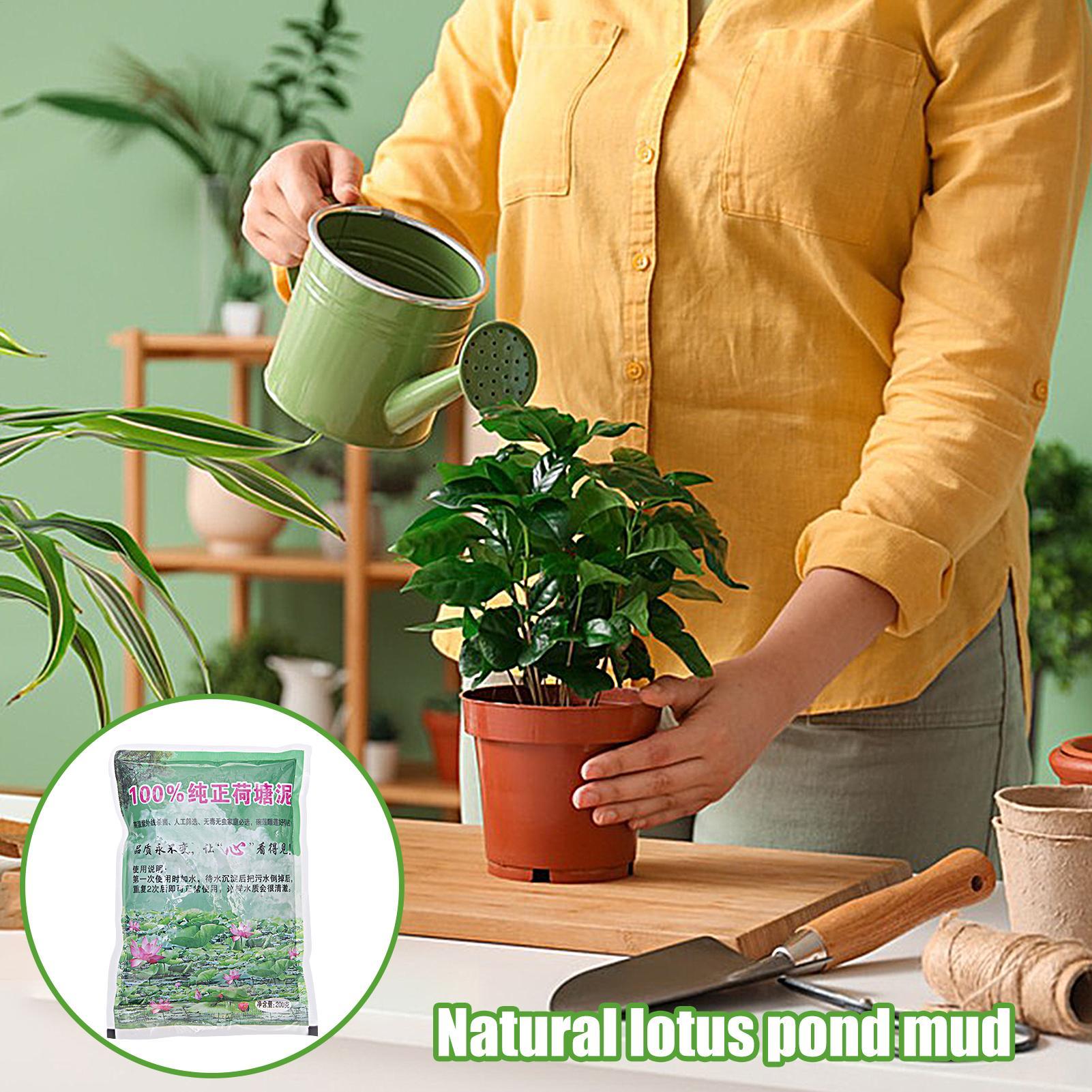 200g/봉지 수족관 흙 연꽃 식물 비료 수생 식물 종 - Aquarium Plant Seeds 리뷰 및 가격