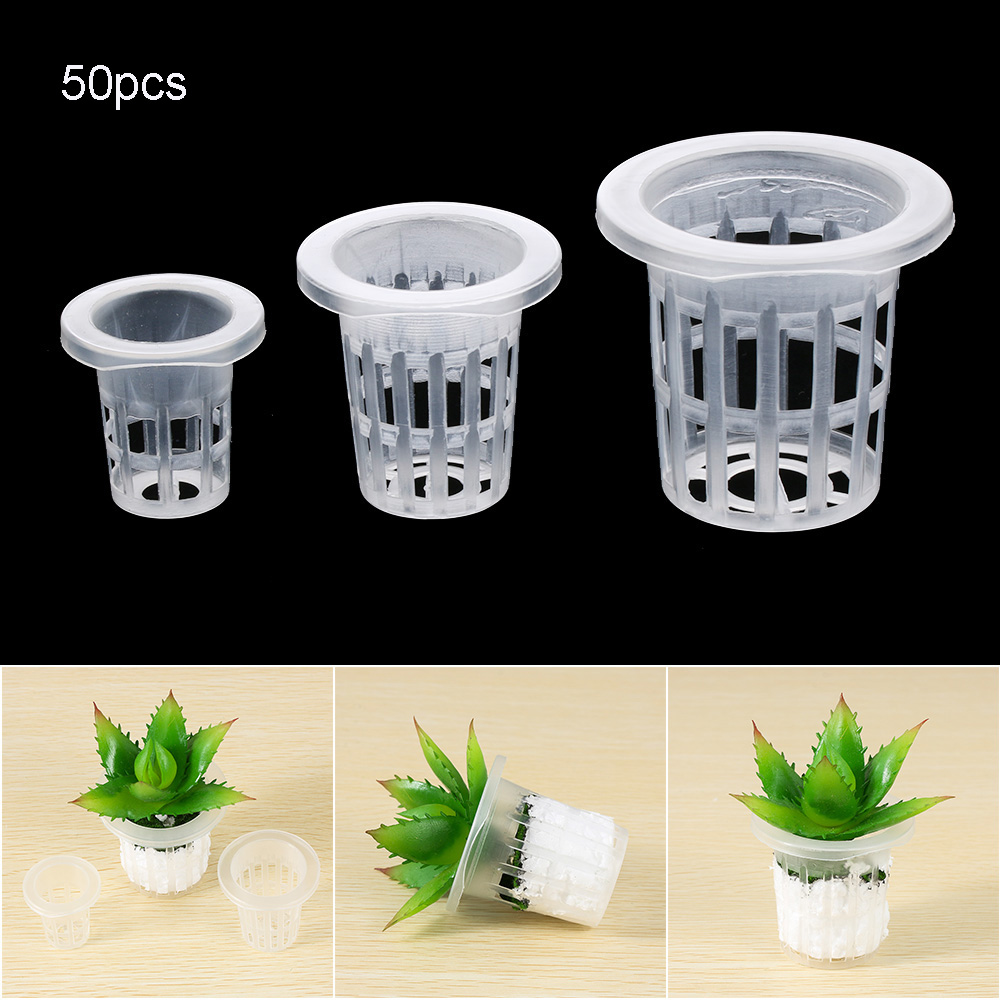 10/50개 정원 용품 수족관 식물 재배 무토양 수경재 - Aquarium Plant Seeds 리뷰 및 가격