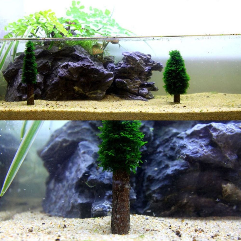 시뮬레이션 크리스마스 트리 수족관 이끼 식물 홀더 미니 - Planted Aquarium Moss 리뷰 및 가격