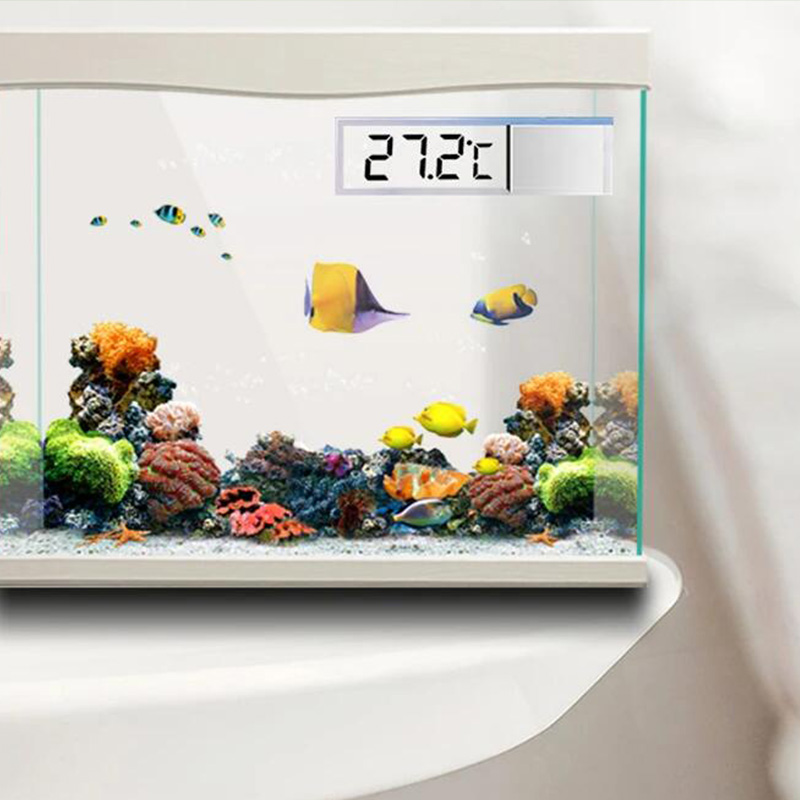 방수 수족관 온도계 3D 디지털 LCD 전자 물고기 탱 - Aquarium Planted Seeds 리뷰 및 가격