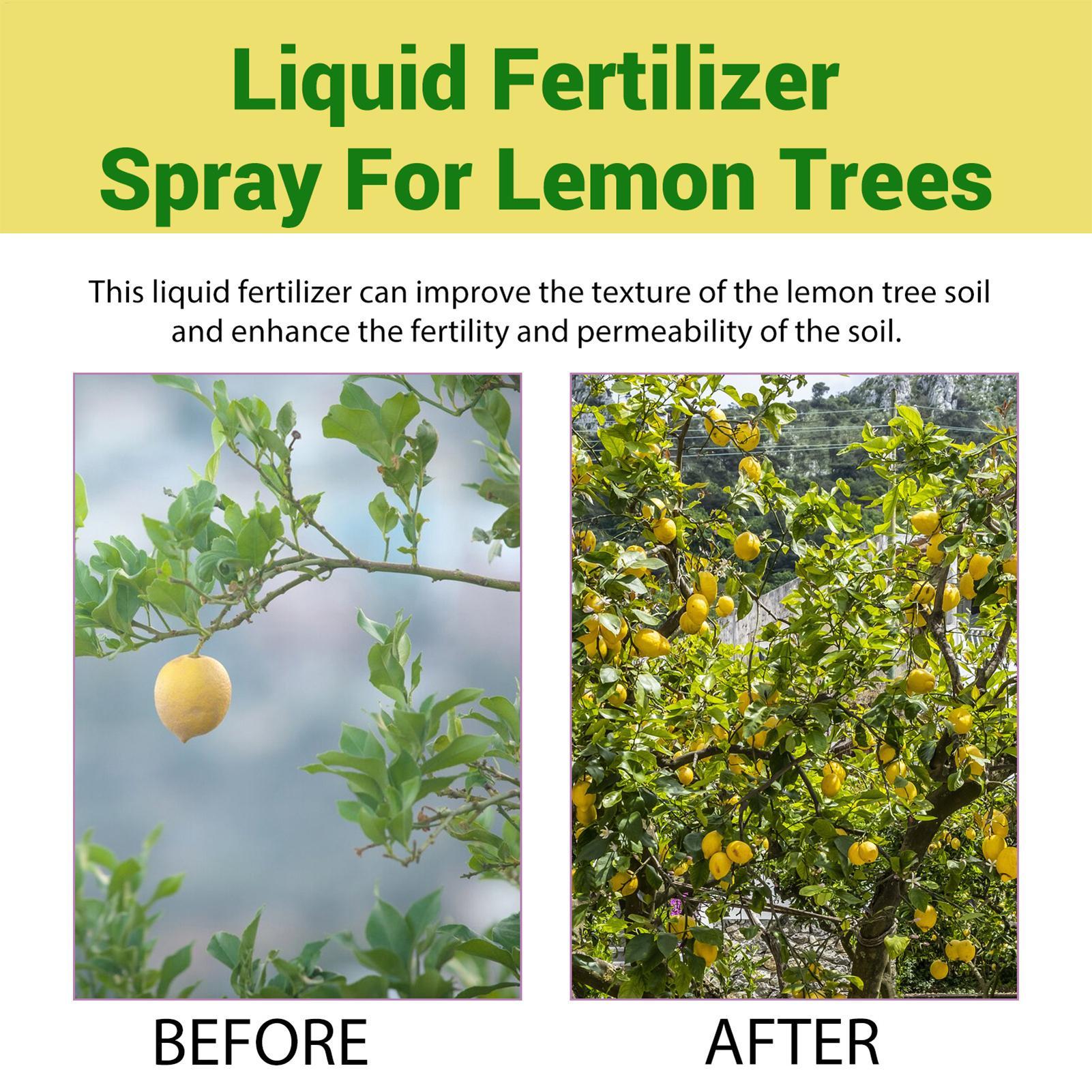 100ml 유기농 액체 비료 레몬나무 잎 성장 스프레이 - Liquid Fertilizer All In 리뷰 및 가격