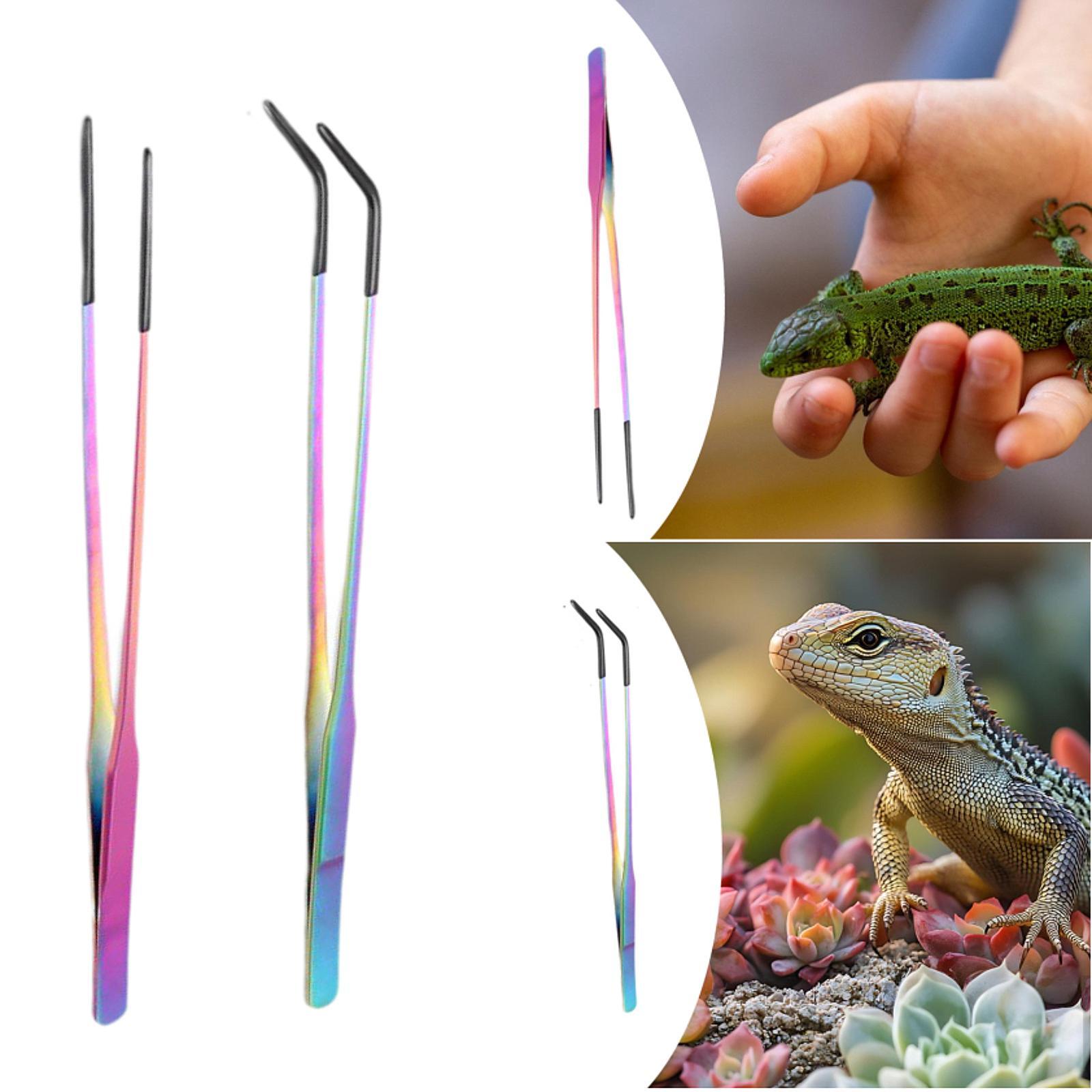 실리콘 팁이 있는 파충류 먹이 집게, 긴 수족관 집게, - Planted Aquarium Tips 리뷰 및 가격