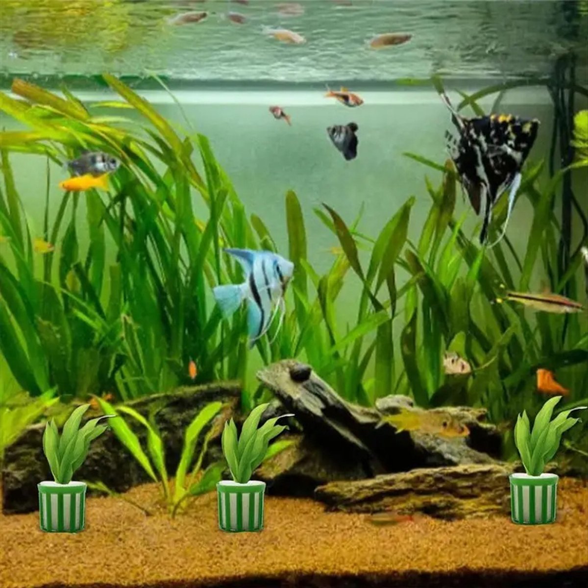 ABNQ 수생 식물 고정 홀더 10pcs 수족관 식물  - Planted Aquarium Tool Kit 리뷰 및 가격