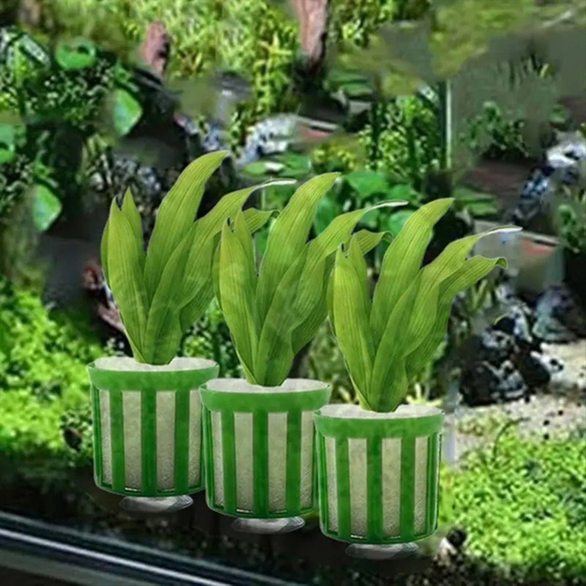 ABNQ 수생 식물 고정 홀더 10pcs 수족관 식물  - Planted Aquarium Tool Kit 리뷰 및 가격