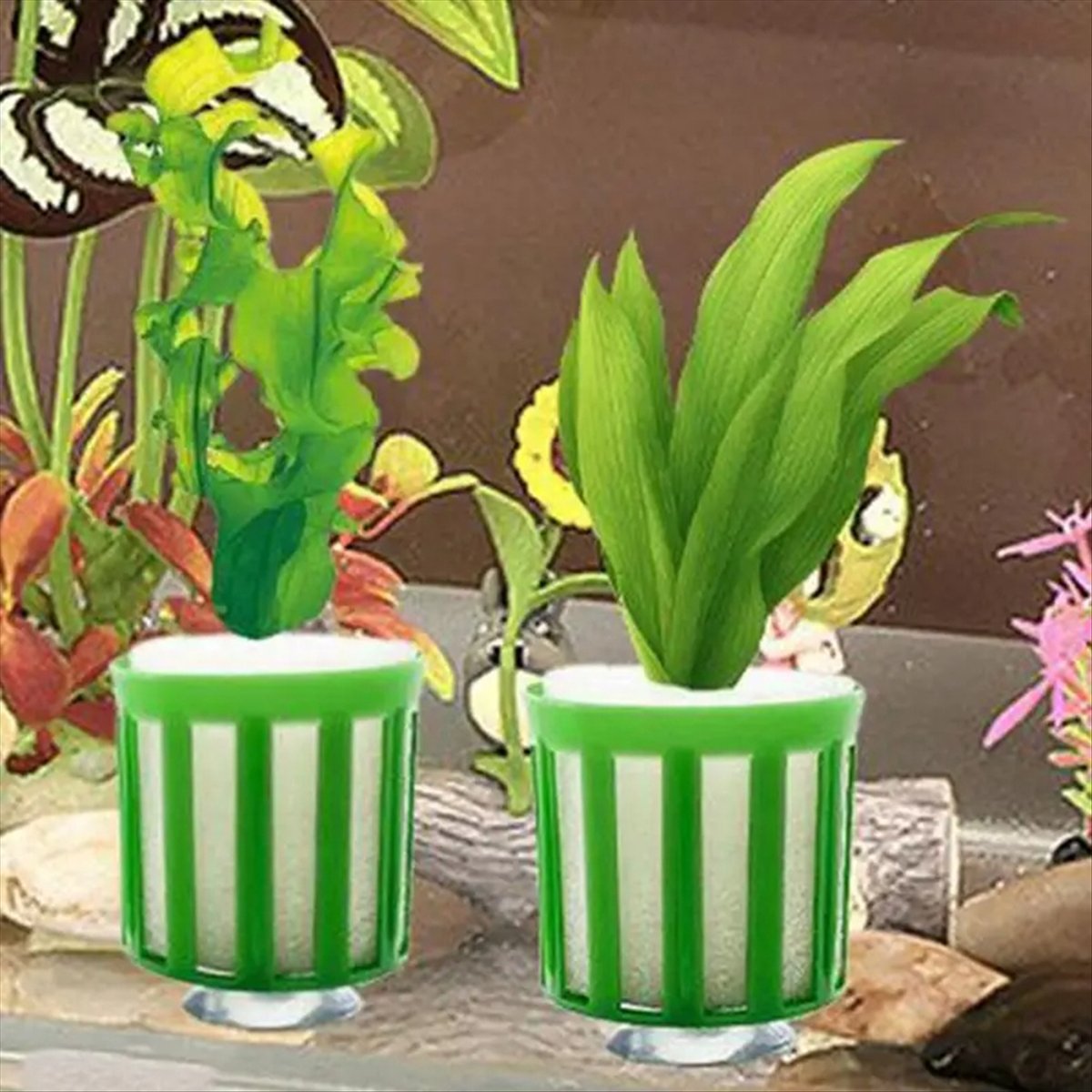 ABNQ 수생 식물 고정 홀더 10pcs 수족관 식물  - Planted Aquarium Tool Kit 리뷰 및 가격
