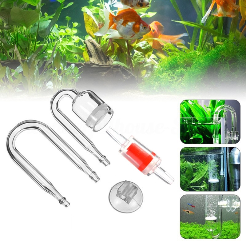 수족관 유리 탱크용 DIY CO2 디퓨저, 버블 반응기 - Planted Aquarium Moss 리뷰 및 가격