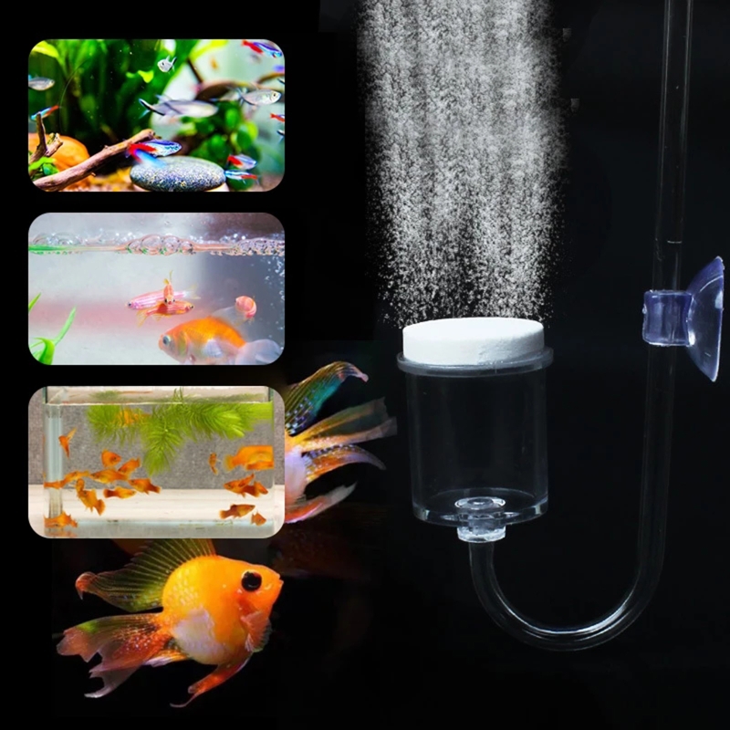 수족관 유리 탱크용 DIY CO2 디퓨저, 버블 반응기 - Planted Aquarium Moss 리뷰 및 가격