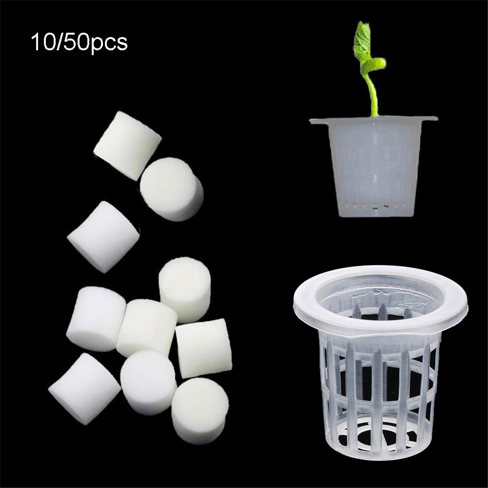 10/50개 내구성 있는 수경재배용 무토양 씨앗 트레이 - Aquarium Plant Seeds 리뷰 및 가격