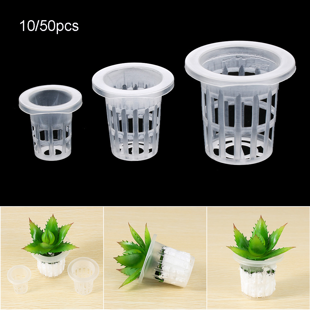 10/50개 내구성 있는 수경재배용 무토양 씨앗 트레이 - Aquarium Plant Seeds 리뷰 및 가격