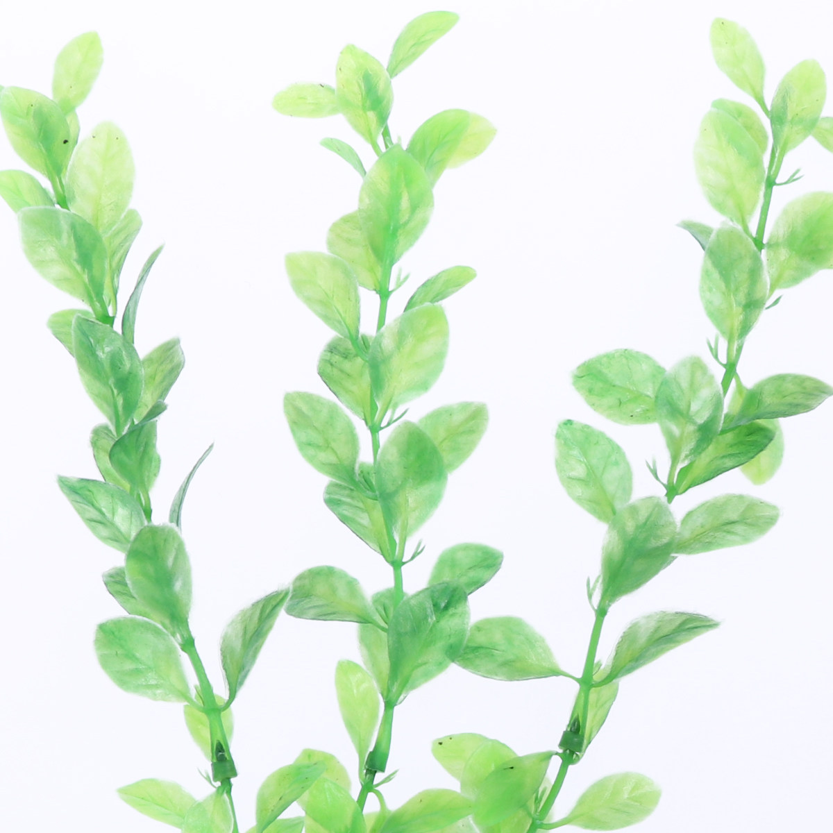 3개입 어항 인조 녹색 플라스틱 식물 장식 세라믹 베이 - Non Planted Aquarium Fish 리뷰 및 가격
