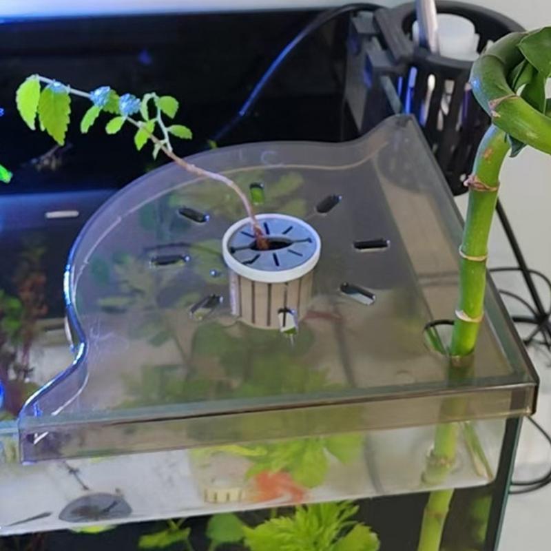 물고기 탱크 코너 선반 산호 조각 랙 아크릴 물고기 탱 - Aquarium Planted Seeds 리뷰 및 가격