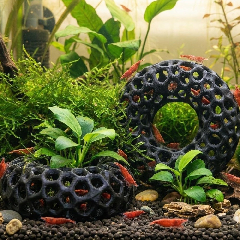 3D 프린팅 물고기 새우 은신처 넓은 시야의 다공성 구 - Planted Aquarium Moss 리뷰 및 가격