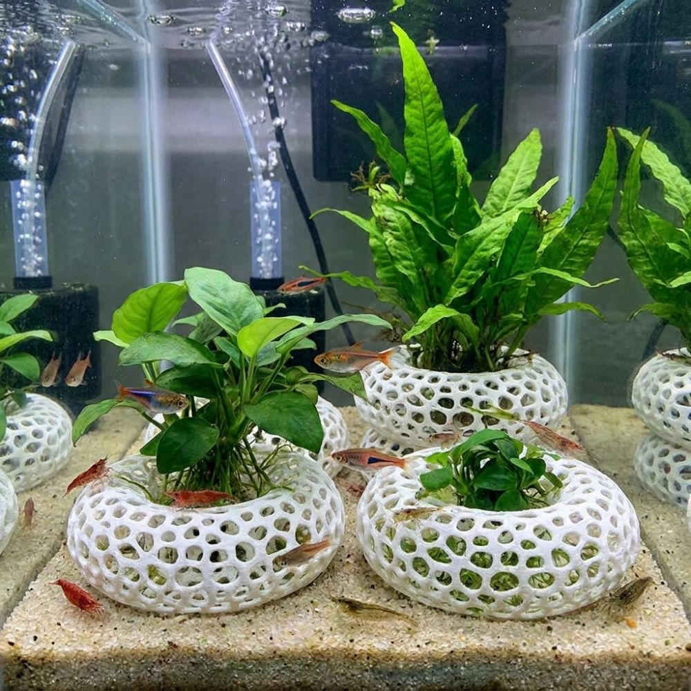 3D 프린팅 물고기 새우 은신처 넓은 시야의 다공성 구 - Planted Aquarium Moss 리뷰 및 가격